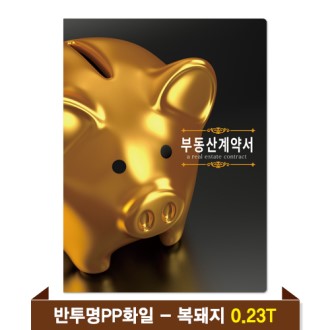 �⼺ �ε���ȭ�� 0.23T ������PP(4P) - ������