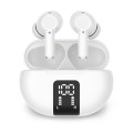 ���̸��� IB-TWS03 ���÷��� ������ ĵ���� �������� �̾���